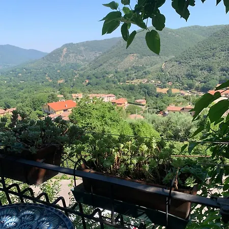 Il Carpino - Dimora Antica Con Parcheggio Holiday home Carpineto Romano